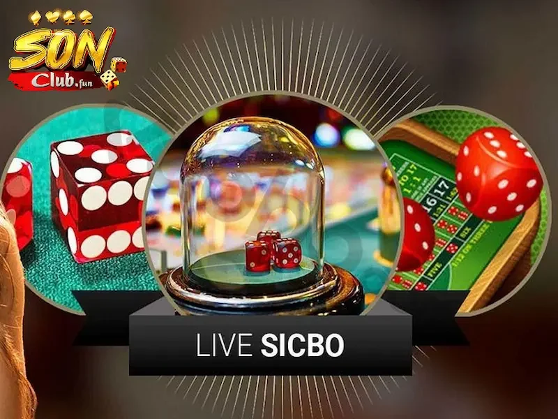 Tìm hiểu Sicbo live
